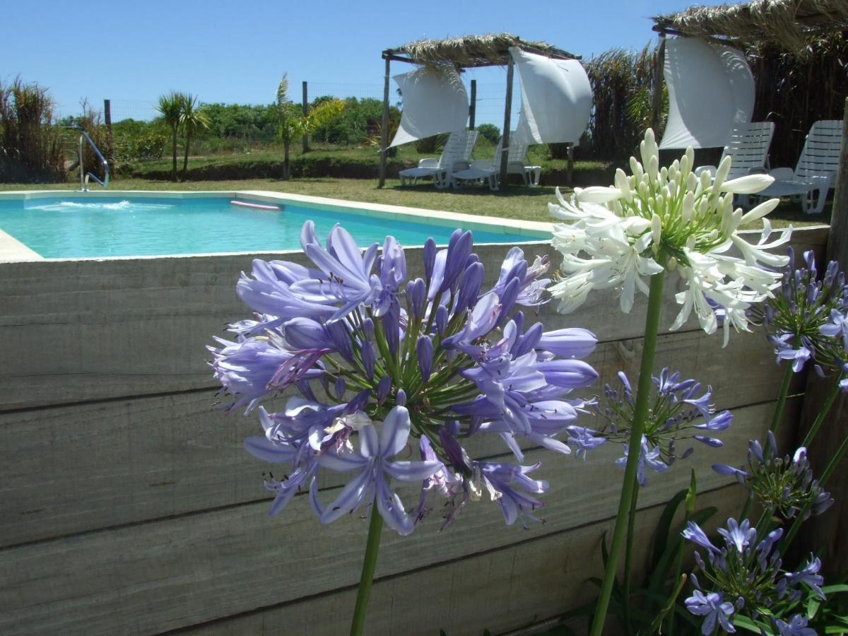 Apartamentos La Playa Piriápolis 外观 照片